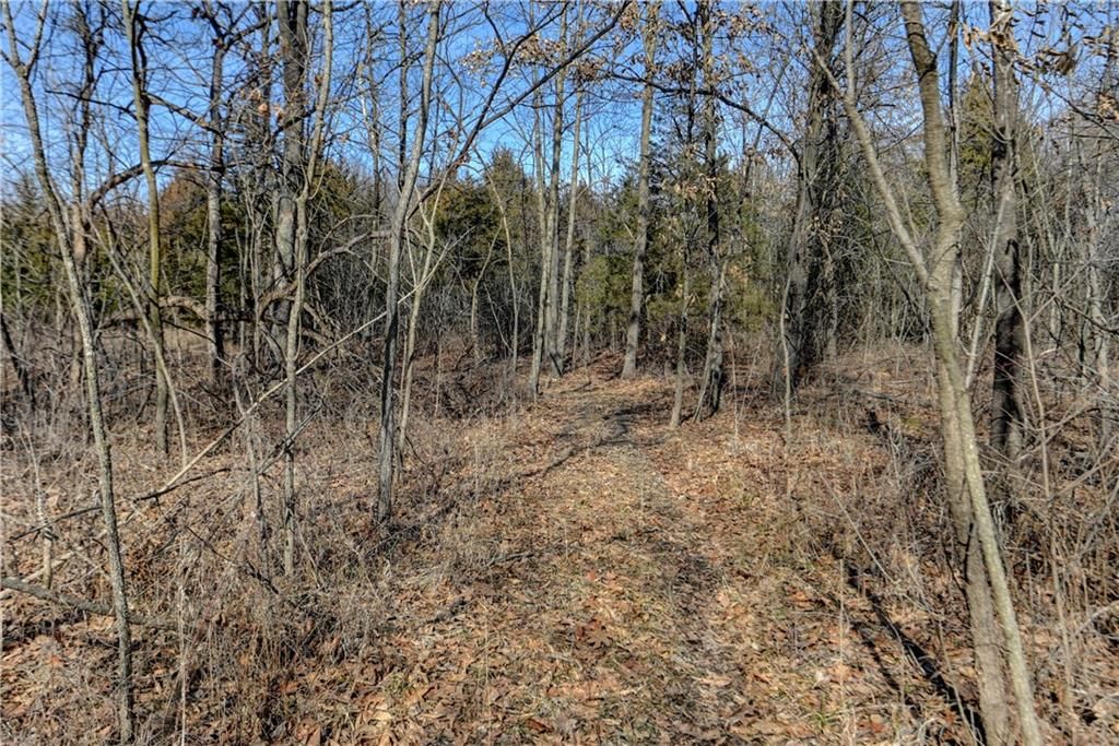 9833 Highway O Highway — photo 33