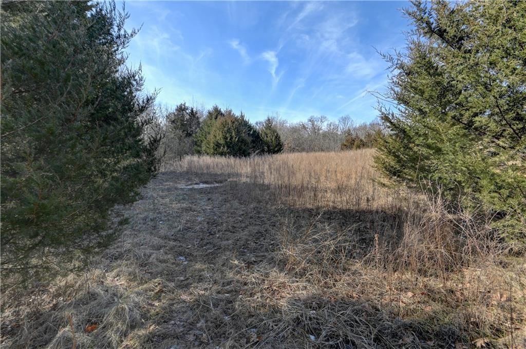 9833 Highway O Highway — photo 34