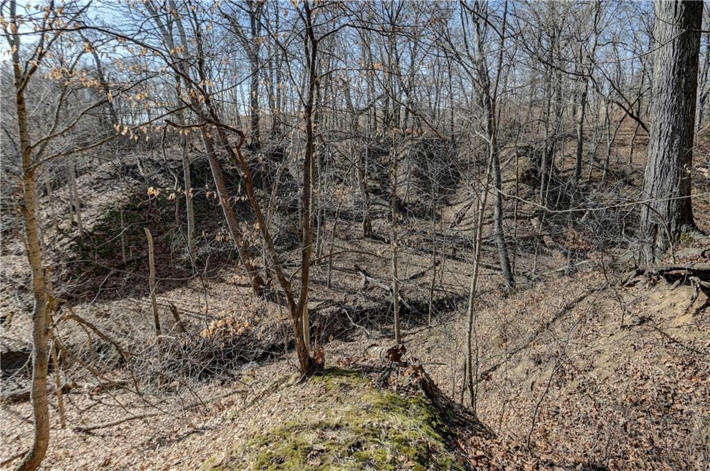 9833 Highway O Highway — photo 38