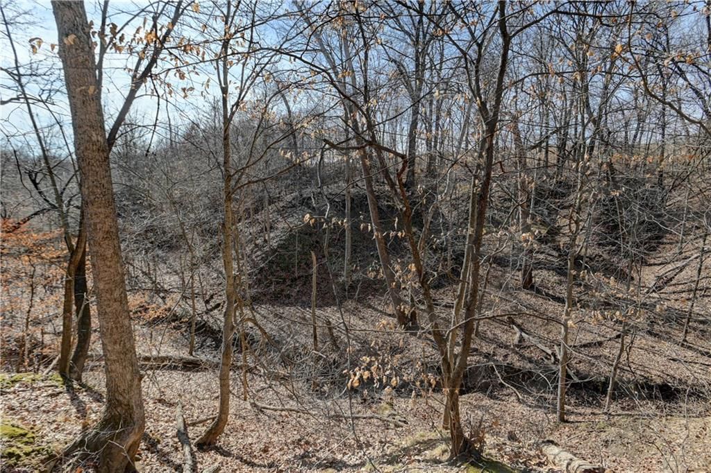 9833 Highway O Highway — photo 39