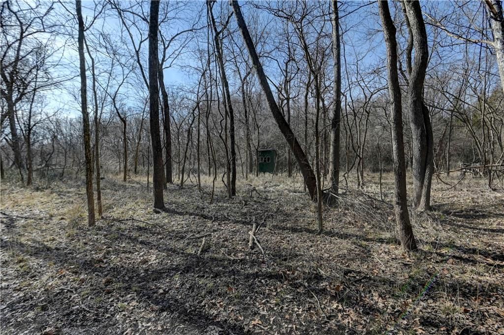 9833 Highway O Highway — photo 41