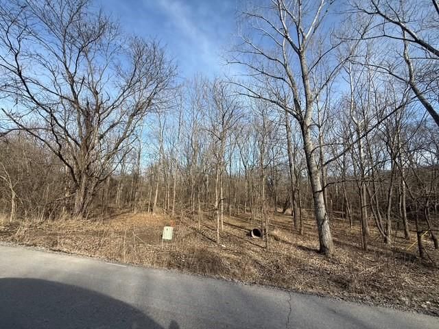 9833 Highway O Highway — photo 48