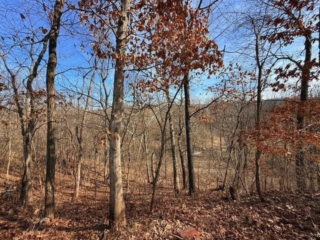 9833 Highway O Highway — photo 50