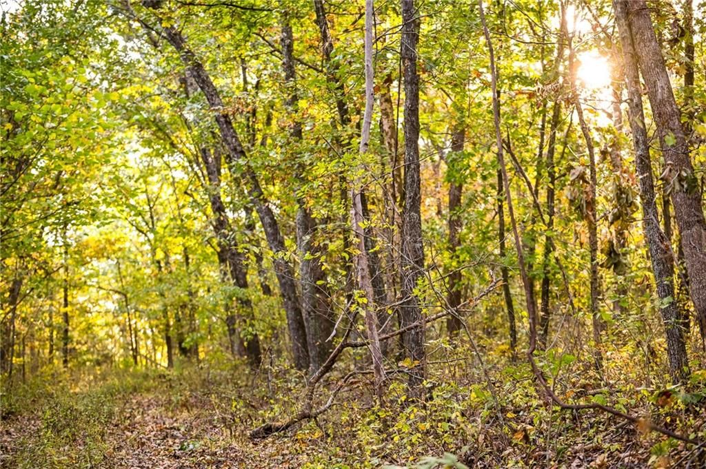 Lot 3 E 2124 Road — photo 21