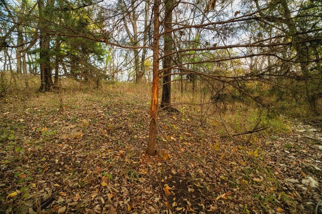 0 Colorado Rd Road — photo 41