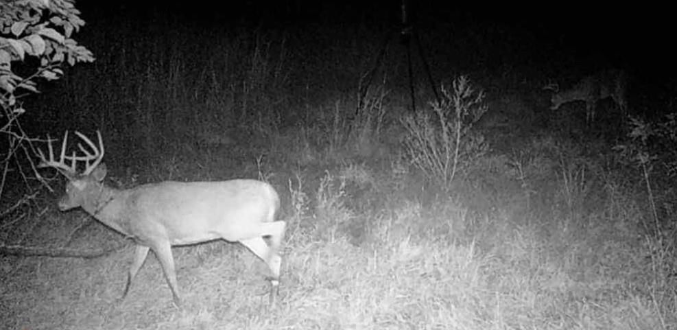 0 Colorado Rd Road — photo 55