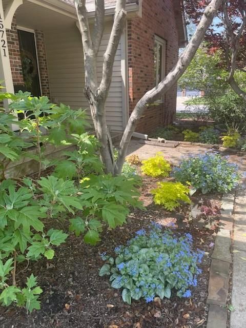 15721 W 145th Street — photo 87