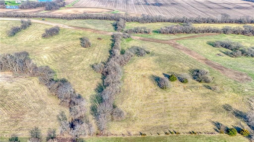 LOT 8 Eagle Ridge N/A — photo 11