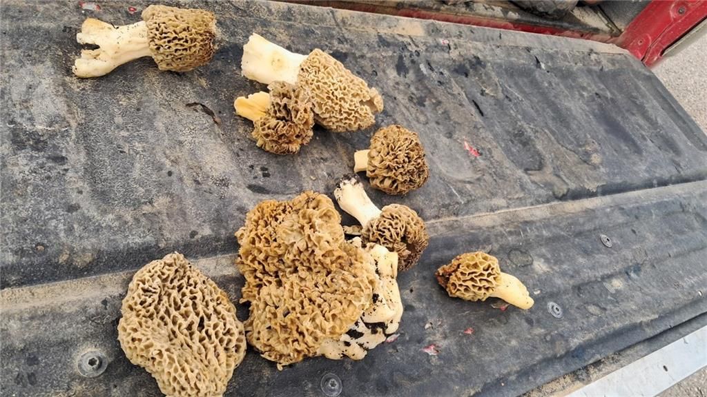 10464 NE State Route 18 N/A — photo 12