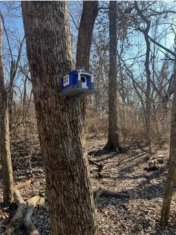 20401 E Bundschu Road — photo 9