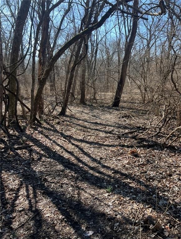 20401 E Bundschu Road — photo 12