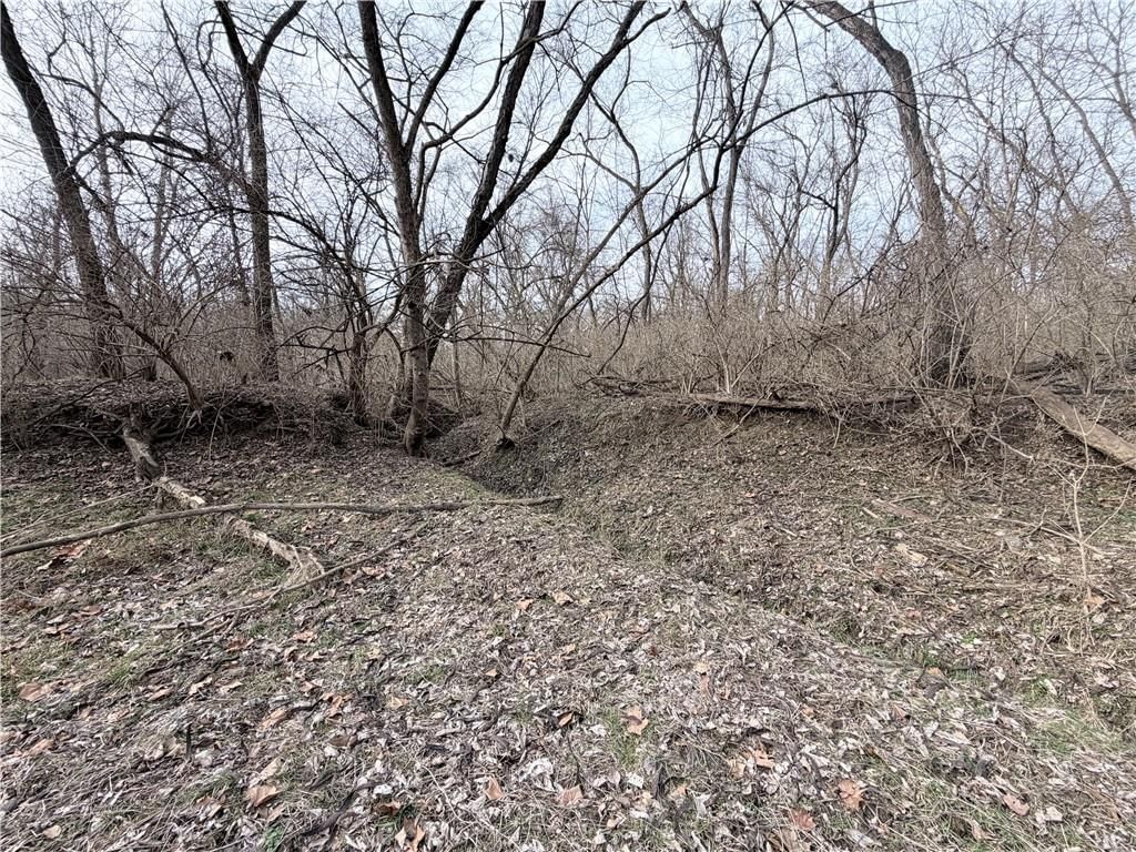 20401 E Bundschu Road — photo 20