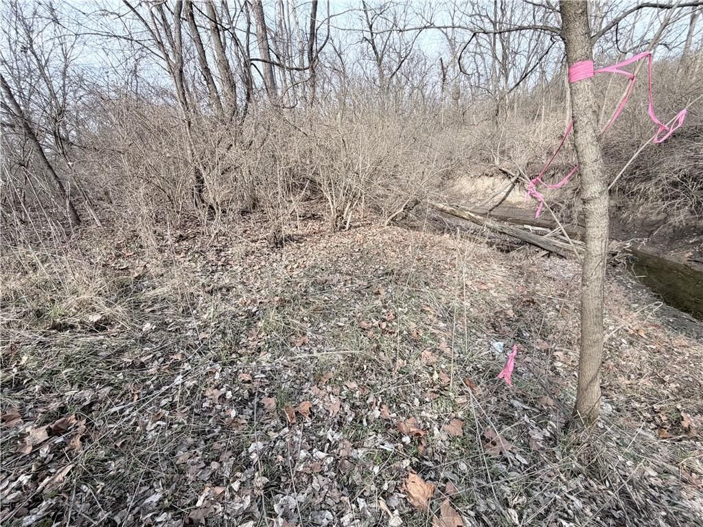 20401 E Bundschu Road — photo 24