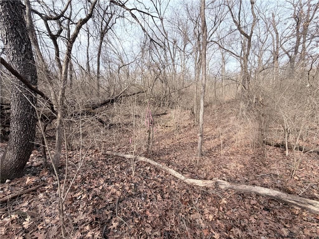 20401 E Bundschu Road — photo 25