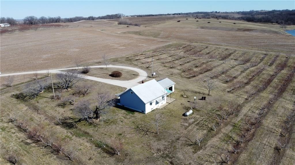 8676 Appletree Lane — photo 4