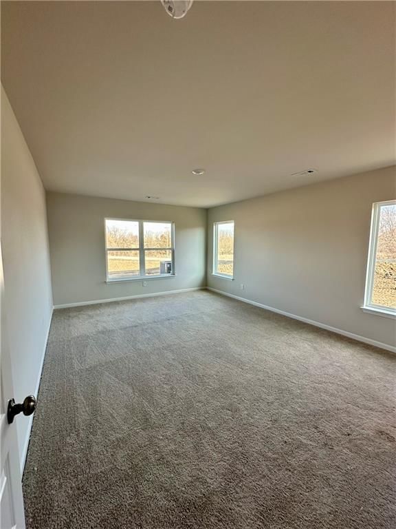 20805 Starside Street — photo 14
