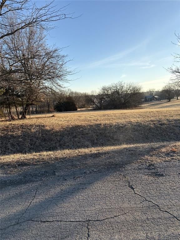 Lot 1774 & 1255 Lake Viking Terrace — photo 8