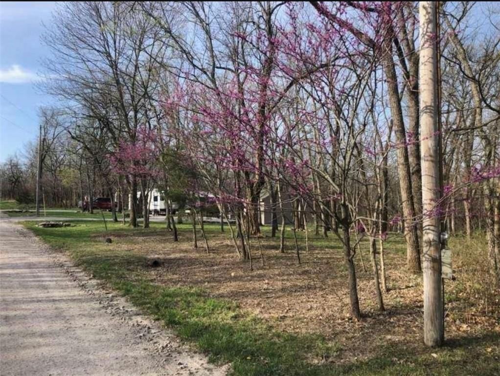 45 Walnut Drive — photo 12