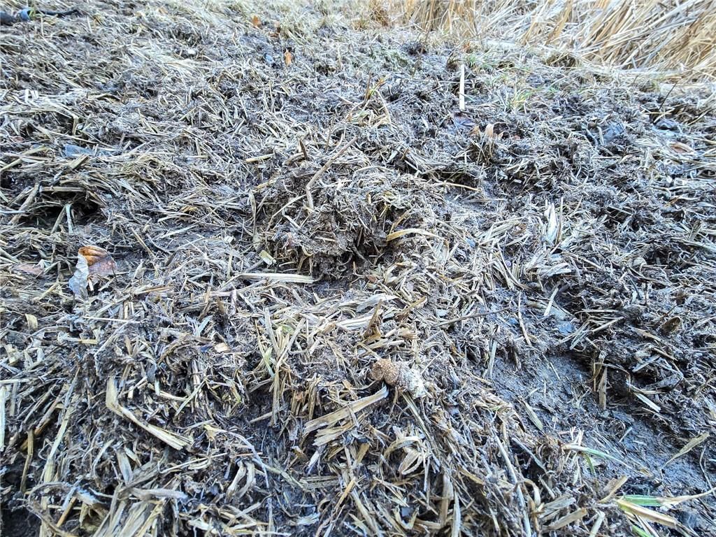 198th Road — photo 33