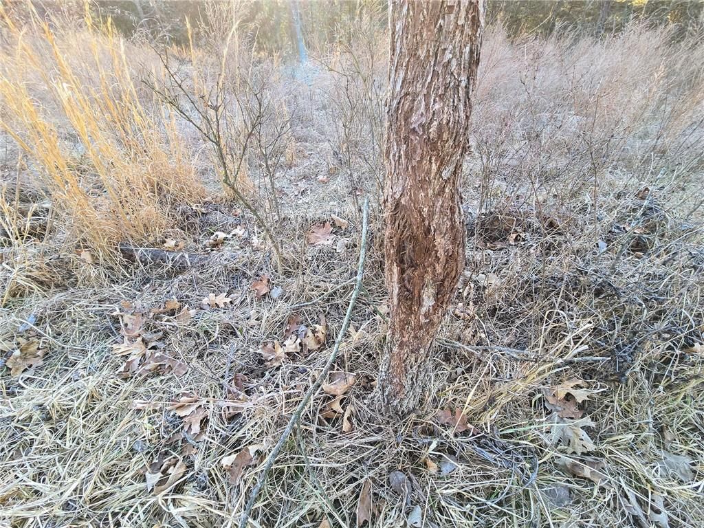 198th Road — photo 40