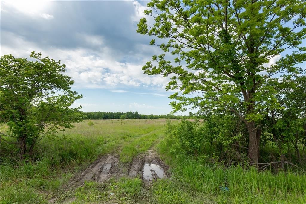 000 SW 700th Road — photo 48