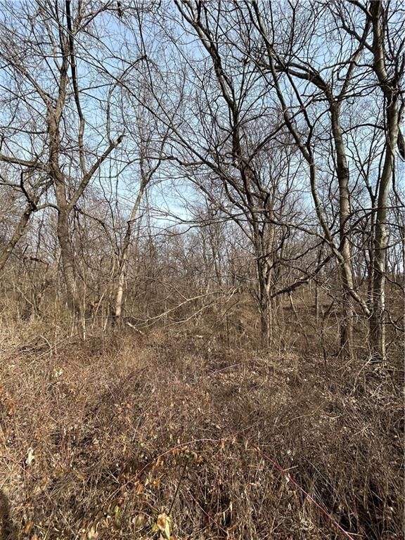 117 W South Street — photo 9