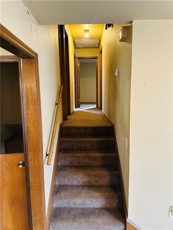 812 Mulberry Street — photo 3
