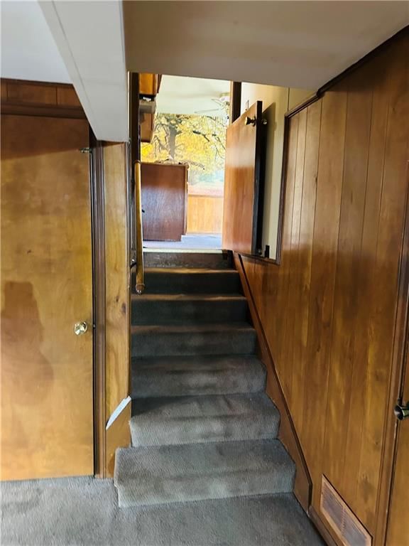 812 Mulberry Street — photo 5
