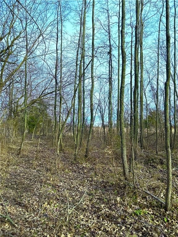 7654 SW County 1007 Road — photo 12