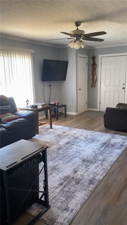 445 E Hickory Street — photo 6