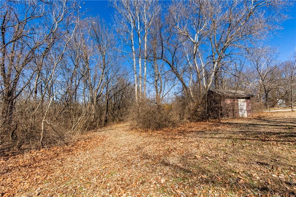 101 Cedar Street — photo 18