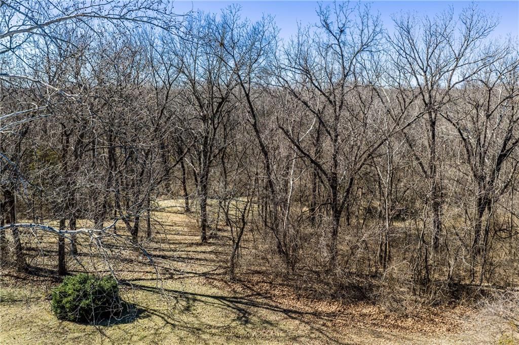 101 Cedar Street — photo 66