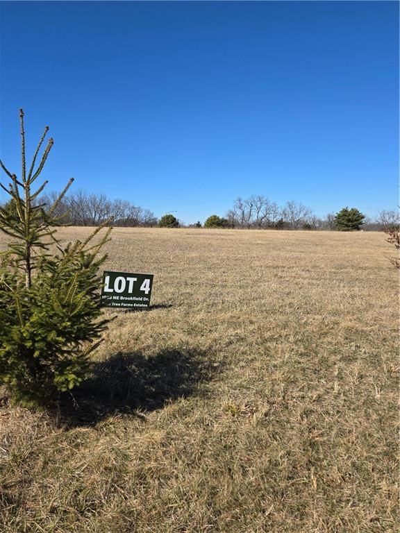 1028 Brookfield Drive, Lee's Summit, MO