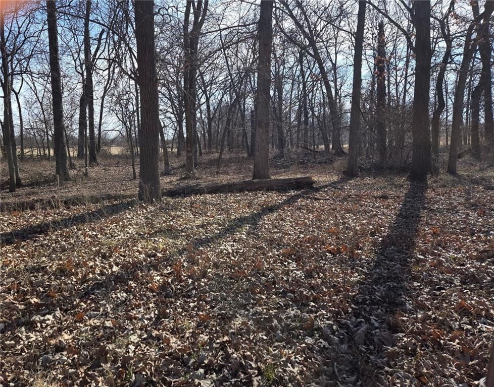 Tract A NW County Road 17402 N/A — photo 2