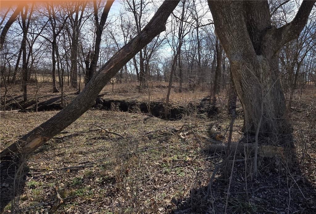 Tract A NW County Road 17402 N/A — photo 3