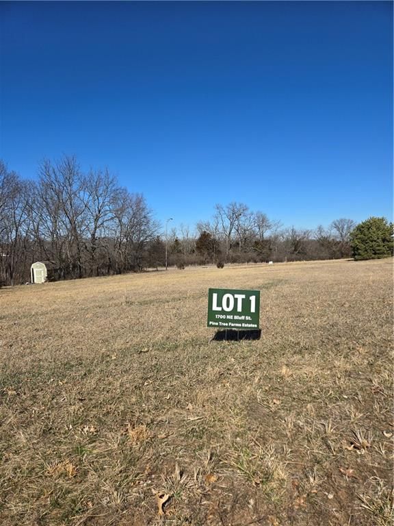 1700 NE Bluff Street — photo 2