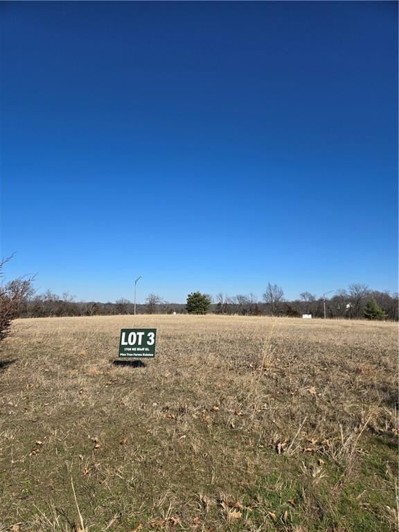 1708 NE Bluff Street — photo 2