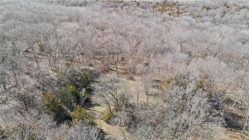 29870 Lookout Road — photo 57