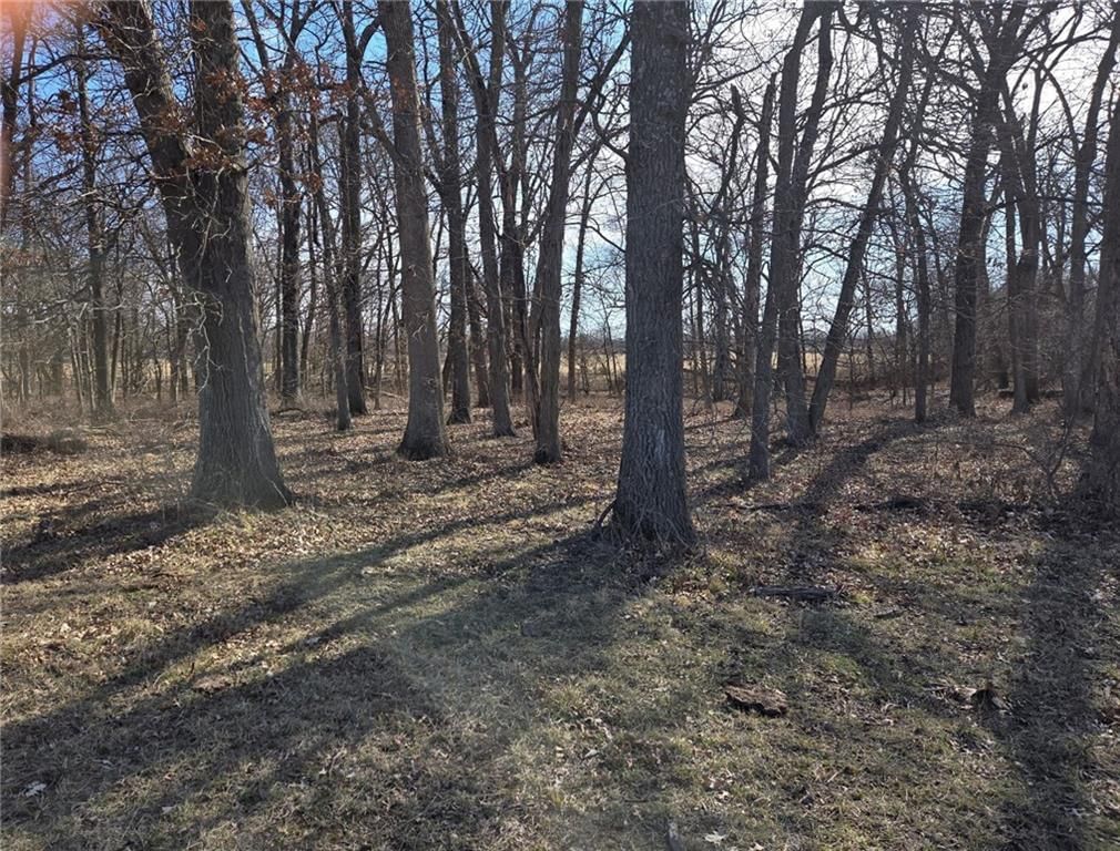 Tract B NW County Rd 17402 N/A — photo 3