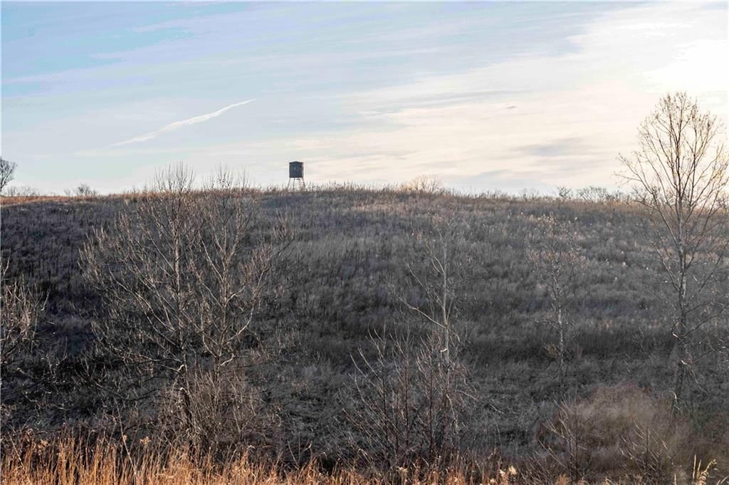 00 Brown Road — photo 46