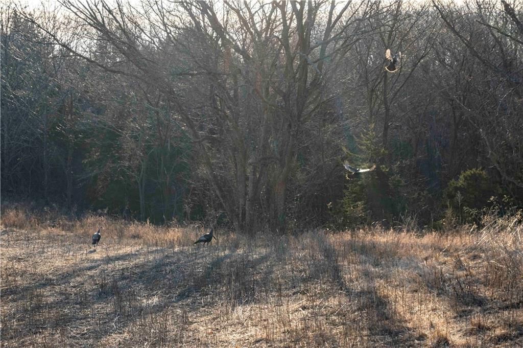 00 Brown Road — photo 65