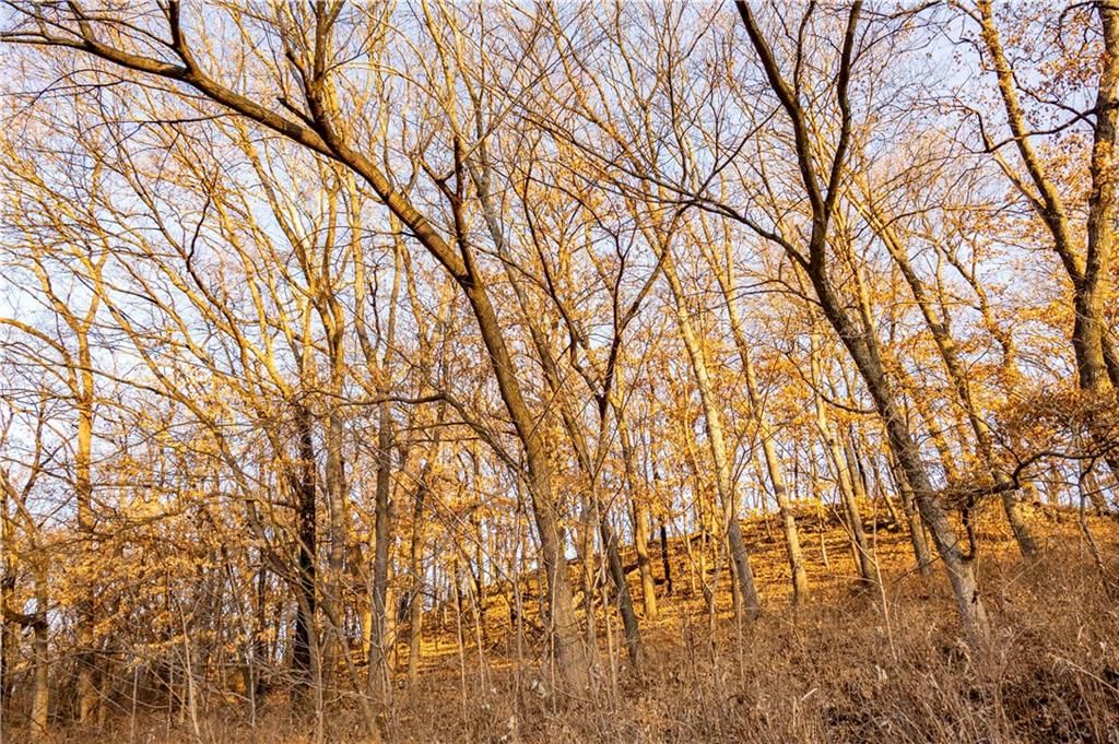 00 Brown Road — photo 77
