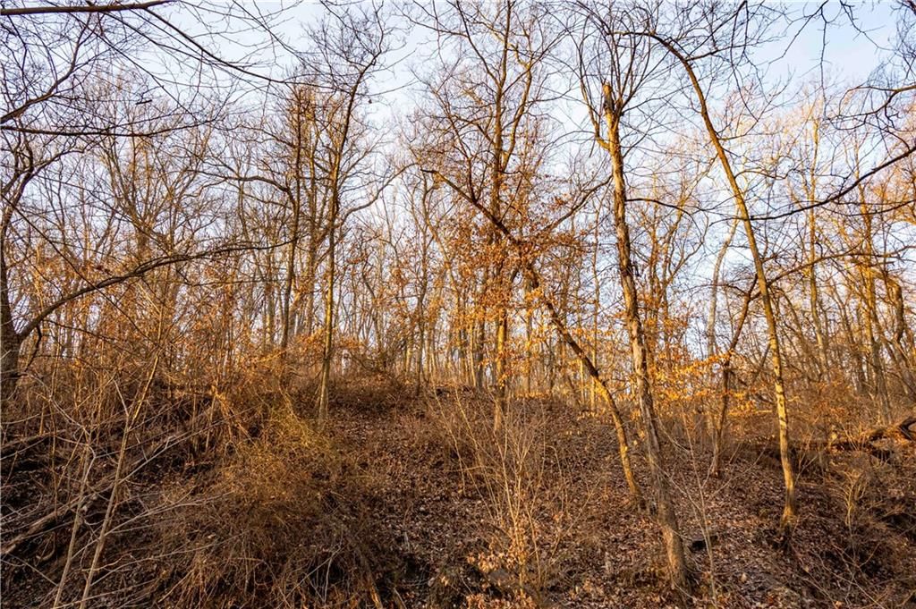 00 Brown Road — photo 78
