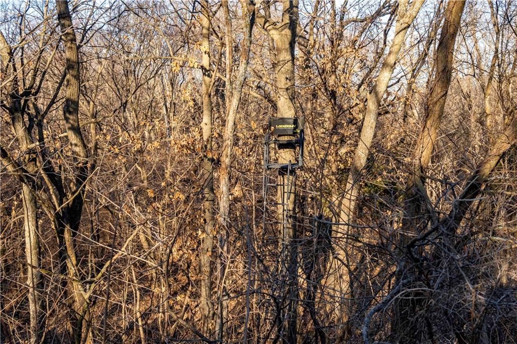00 Brown Road — photo 81