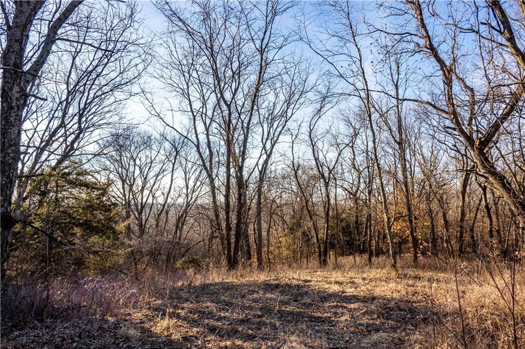 00 Brown Road — photo 82