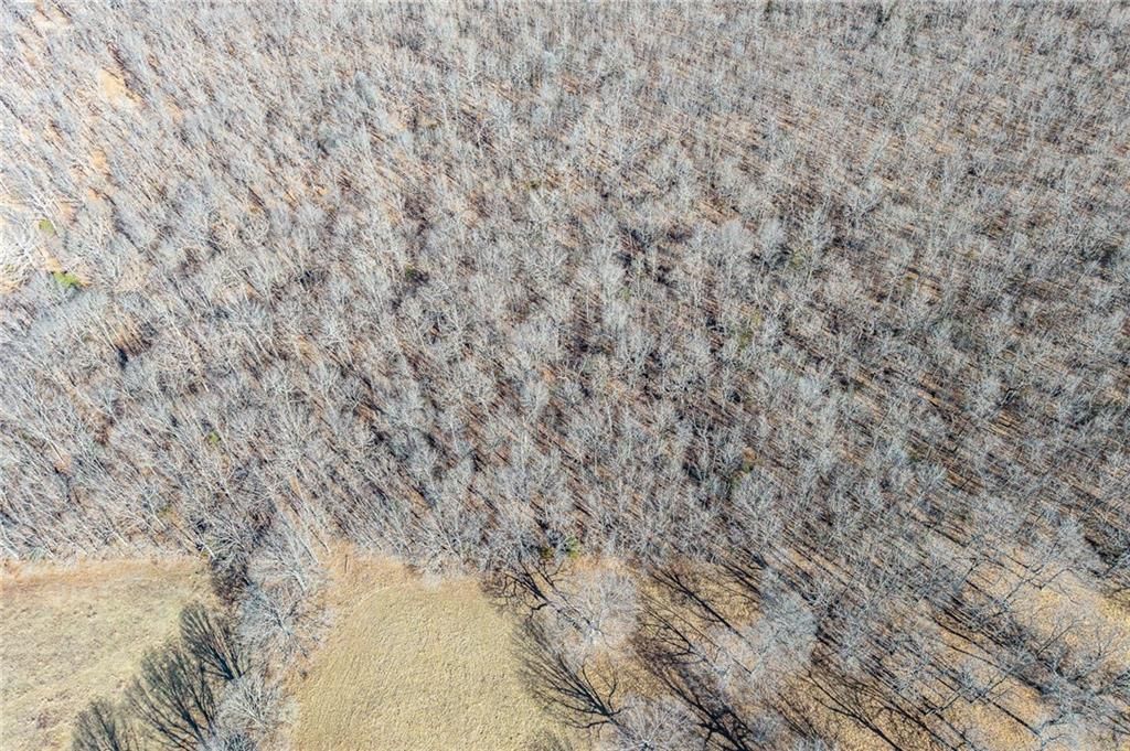 xx Tract 2 Lindley Road — photo 23