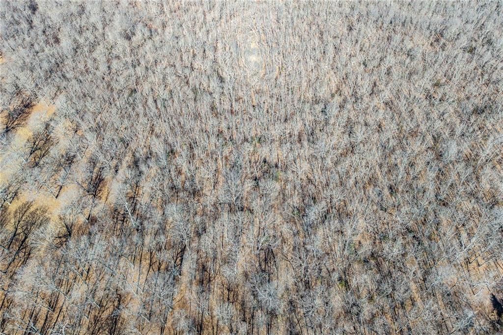xx Tract 2 Lindley Road — photo 42