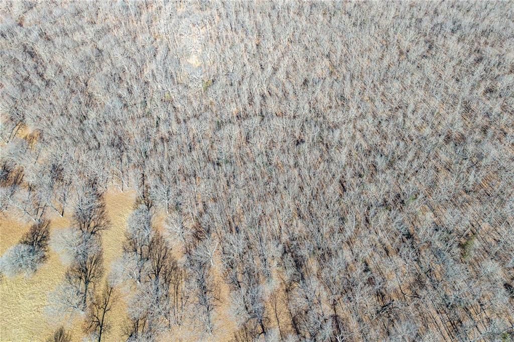 xx Tract 2 Lindley Road — photo 51
