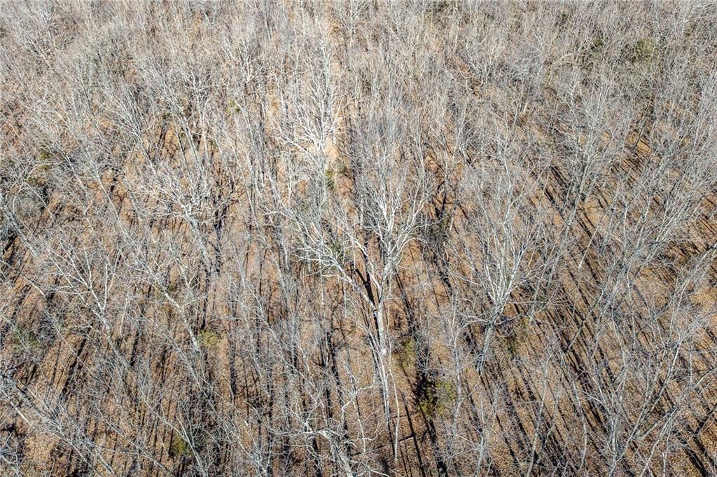 xx Tract 2 Lindley Road — photo 55