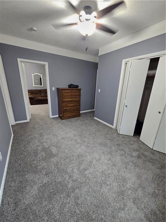 1204 Main Street — photo 17